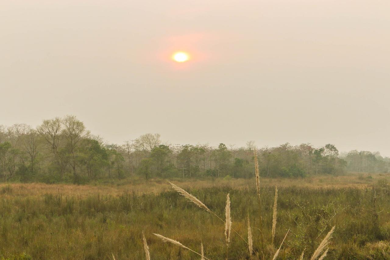 Jagatpur Lodge Khargauli Zewnętrze zdjęcie